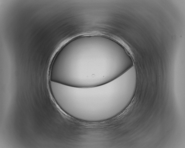 X0000110931485200906181146