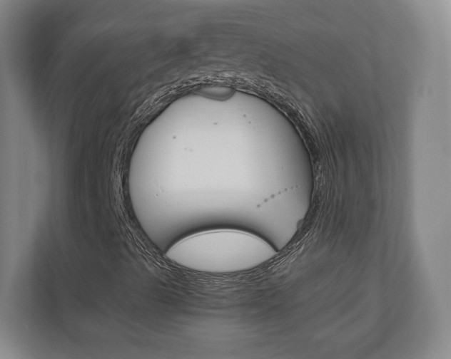 X0000110931489200906181145