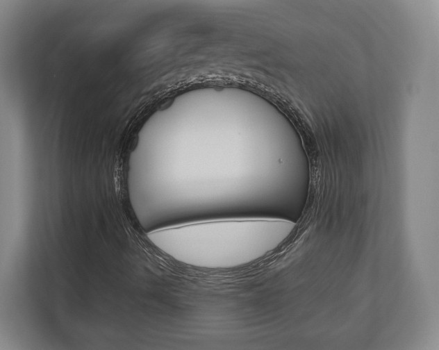 X0000110931490200906181145
