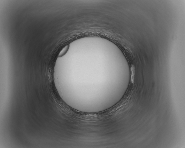 X0000110931491200906181145