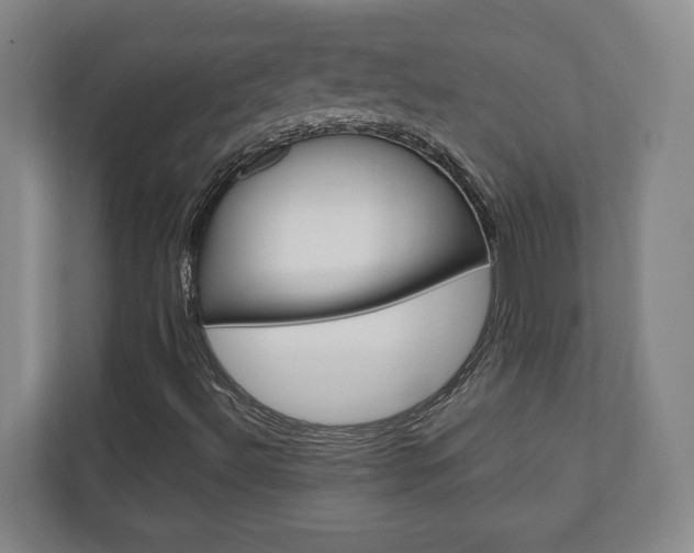 X0000110931492200906181145