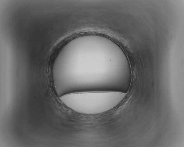 X0000110931494200906181145
