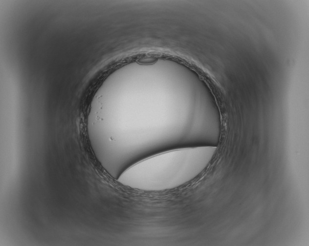X0000110931495200906181145