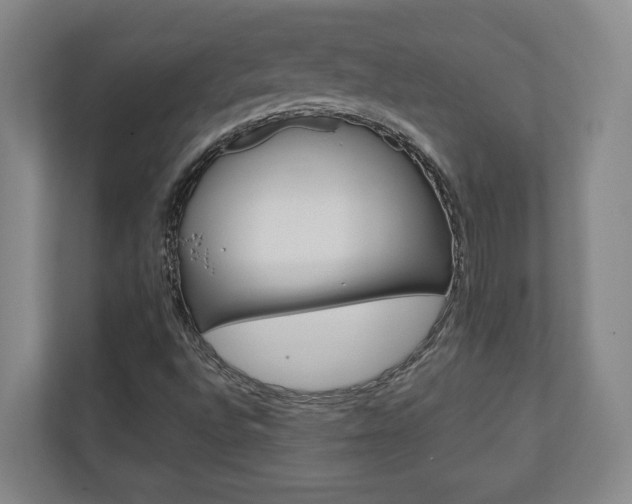 X0000110931496200906181145