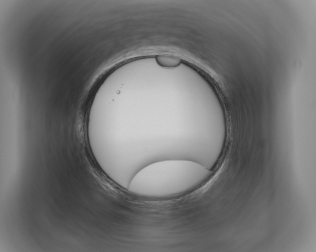 X0000110931498200906181145