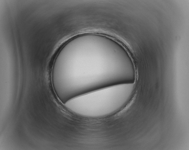 X0000110931501200906181145