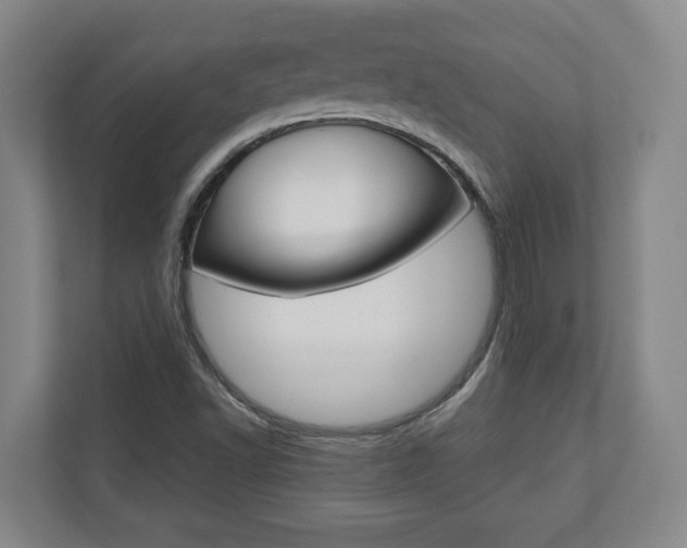 X0000110931502200906181145