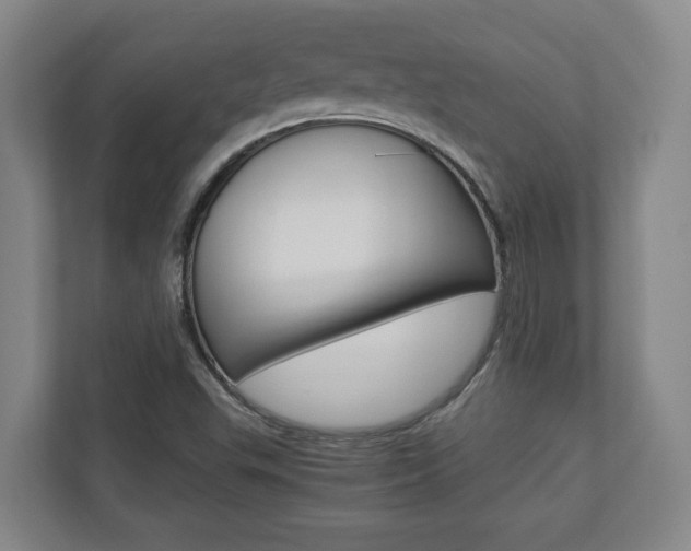 X0000110931503200906181145