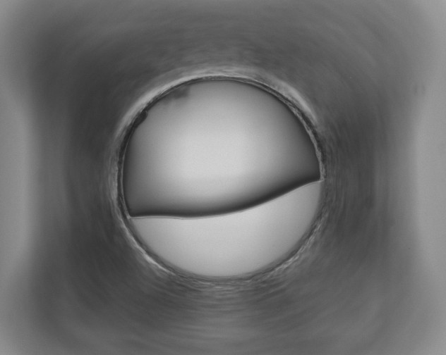X0000110931504200906181145