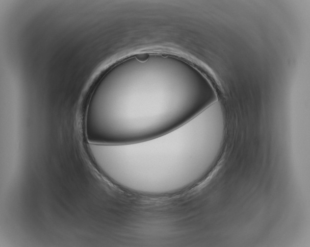 X0000110931506200906181145