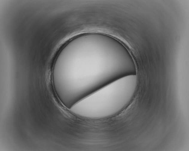 X0000110931507200906181145