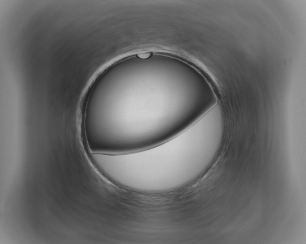 X0000110931508200906181145