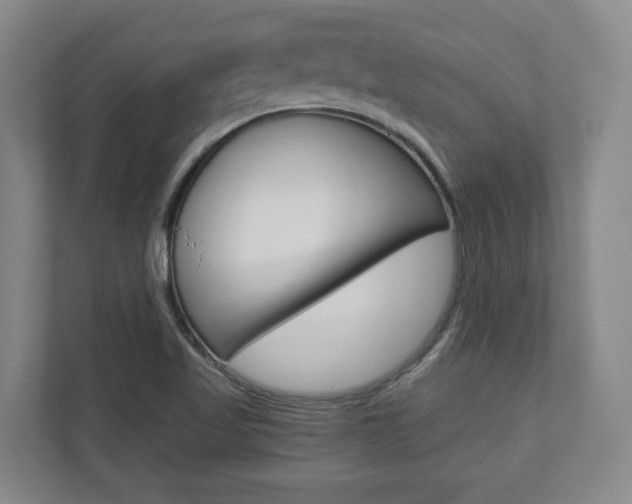 X0000110931509200906181145