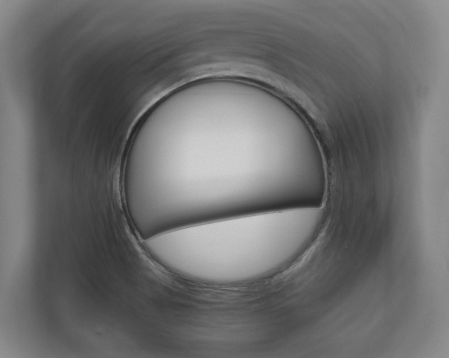 X0000110931513200906181145