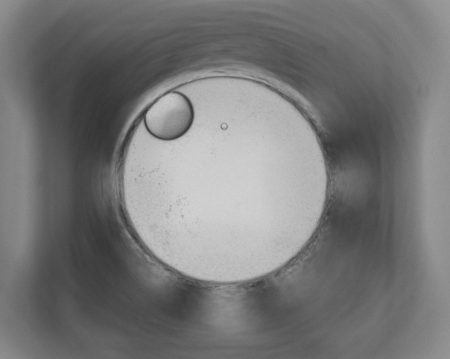 X0000110931514200906181145