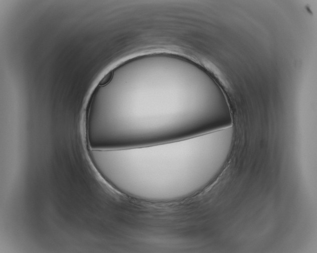 X0000110931516200906181145