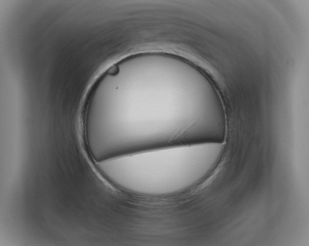 X0000110931517200906181145