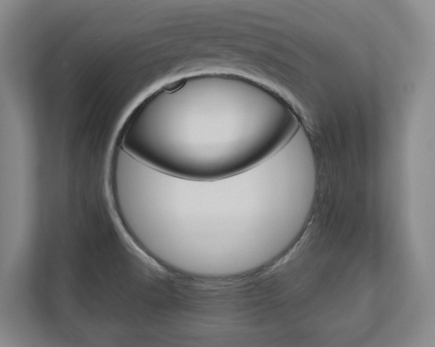 X0000110931518200906181145