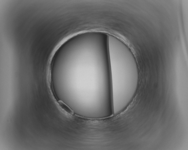 X0000110931520200906181145