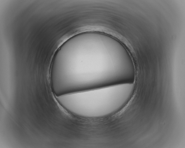 X0000110931521200906181145