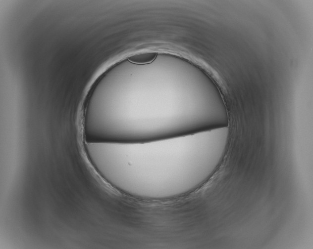 X0000110931522200906181145
