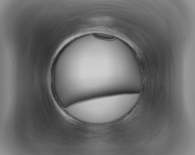 X0000110931523200906181145