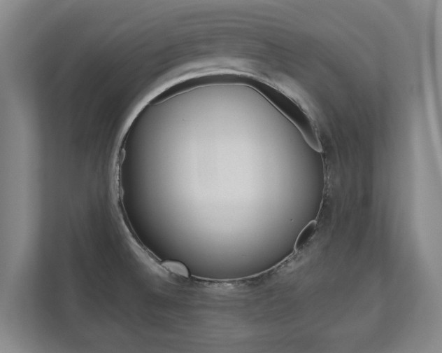 X0000110931524200906181145