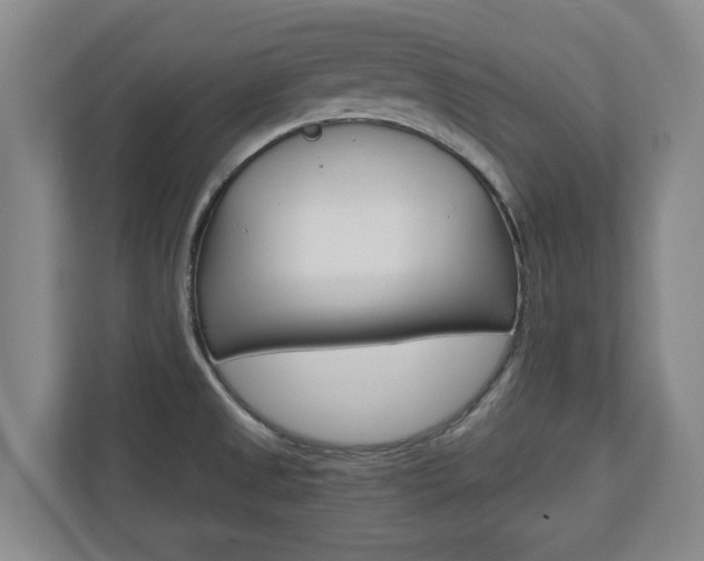X0000110931525200906181145