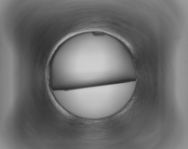 X0000110931526200906181145