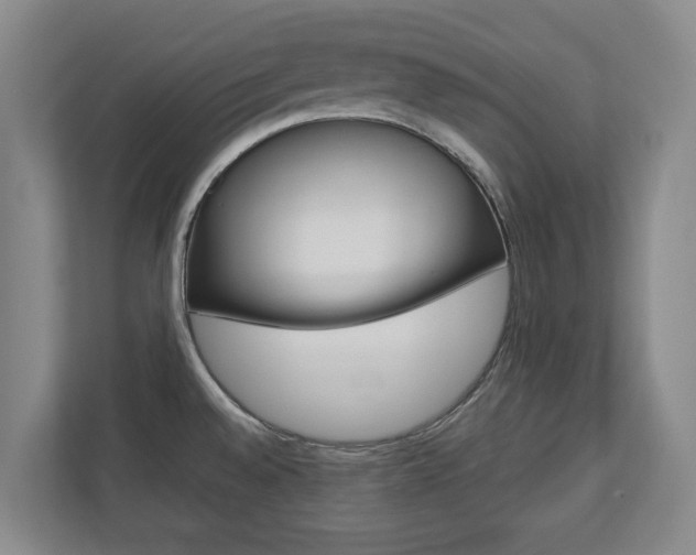 X0000110931528200906181145