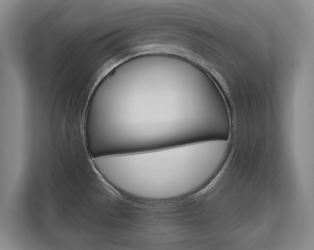 X0000110931529200906181145