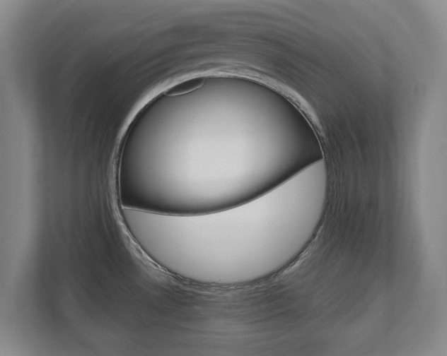 X0000110931530200906181146