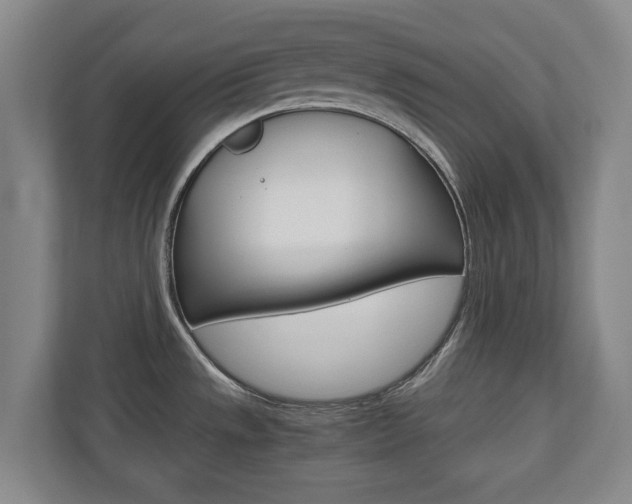 X0000110931533200906181146