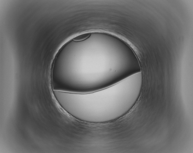 X0000110931534200906181146