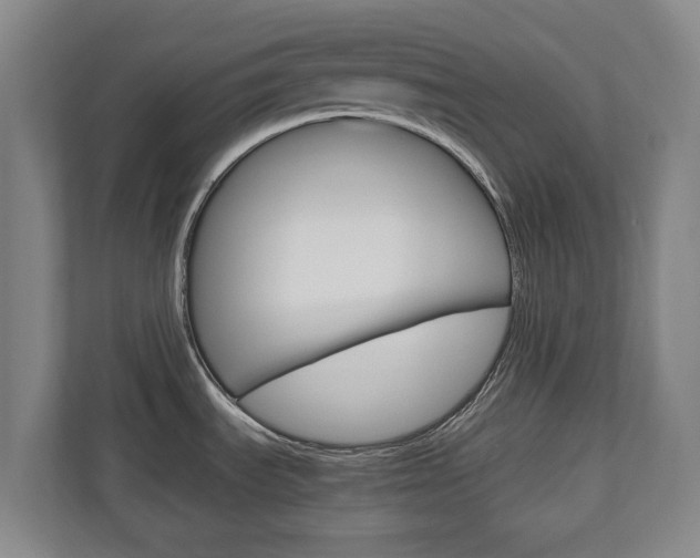 X0000110931535200906181146