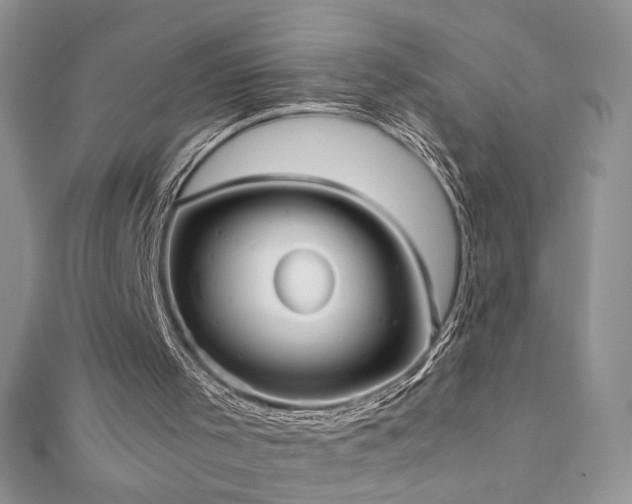 X0000110930001200906181438