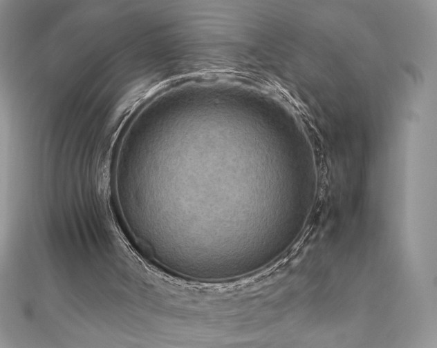 X0000110930002200906181438