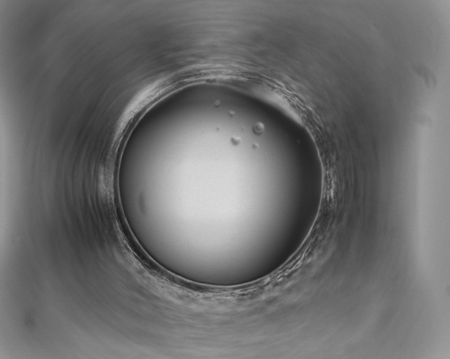 X0000110930004200906181438