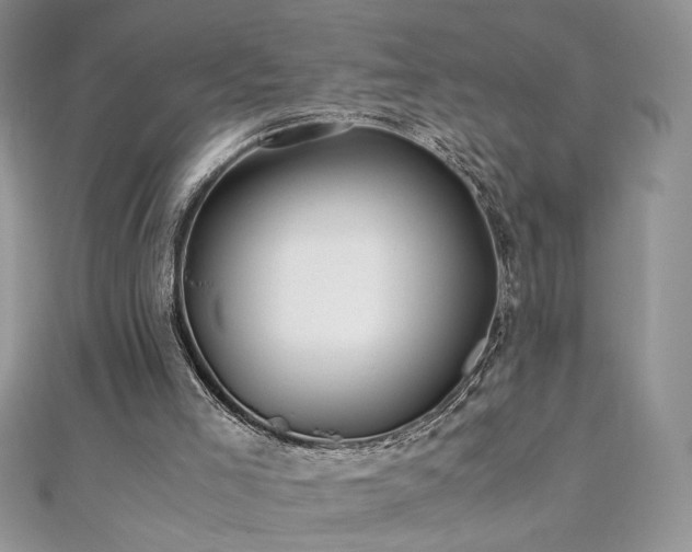 X0000110930005200906181438