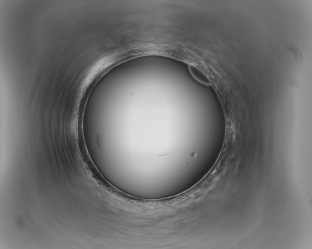 X0000110930006200906181438