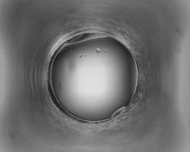 X0000110930007200906181438