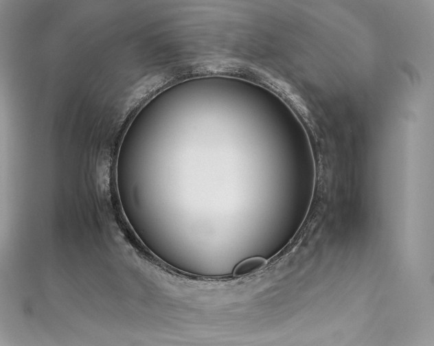 X0000110930010200906181438