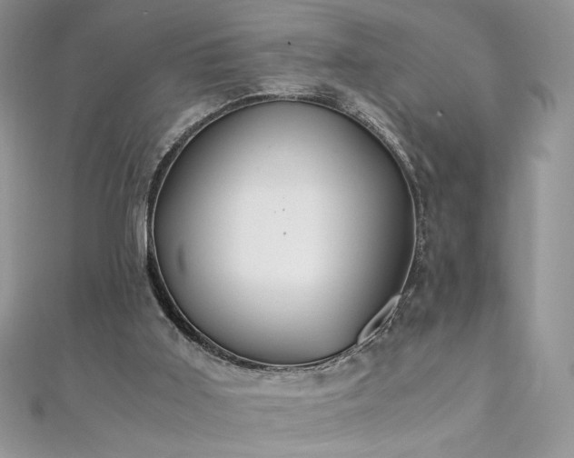 X0000110930011200906181438