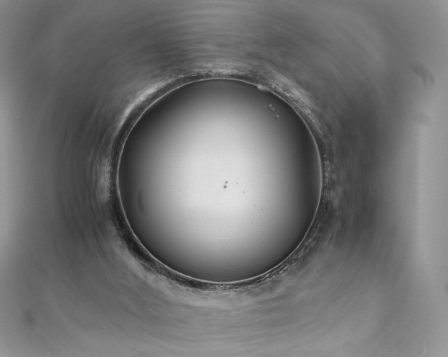 X0000110930012200906181438