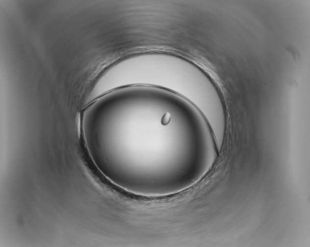 X0000110930013200906181438