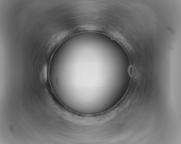 X0000110930014200906181438