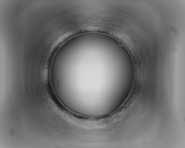 X0000110930016200906181438