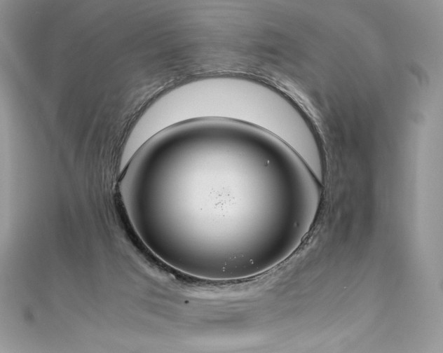 X0000110930017200906181438