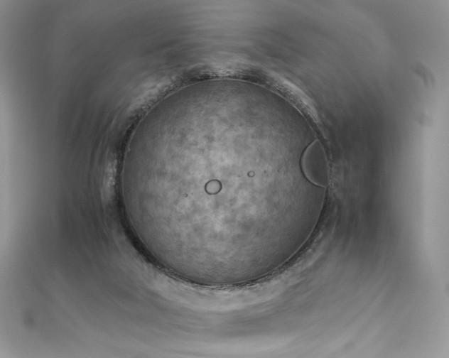 X0000110930018200906181438