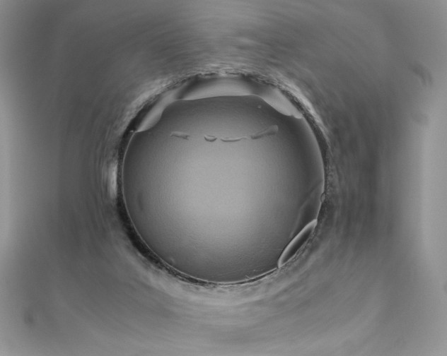 X0000110930019200906181438